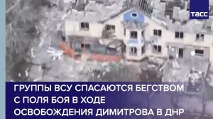 Группы ВСУ спасаются бегством с поля боя в ходе освобождения Димитрова в ДНР