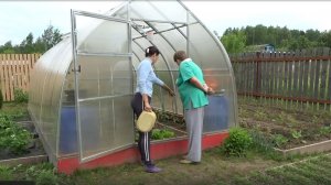 6 соток 29 мая 2021 год. 1 часть. Высаживаю высокорослые однолетники