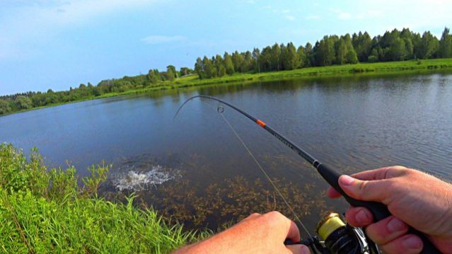 Порыбачим смотреть онлайн