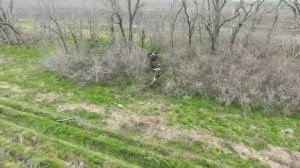 Сохрани нам жизнь, русский солдат. СВО.