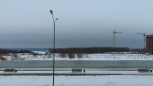 Гонки по голольду