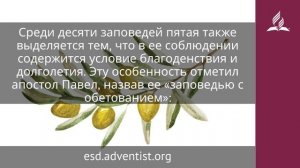 11 декабря 2025. Пятая заповедь. Под сенью благодати | Адвентисты
