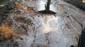 Строительство, дренажные работы в лесу, следующий обзор