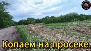 Приборный поиск. На просеке.