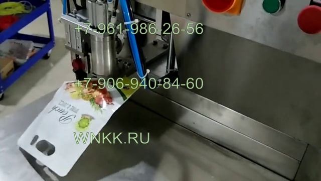 Автоматическая машина для упаковки в Bag-in-Box и Дой-пак V0721 смотреть онлайн