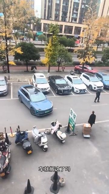 На каждую хитрую ж... в Китае найдется авто с автопарковкой.