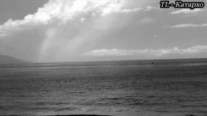 Песня на стихи С. Есенина "Никогда я не был на Босфоре"