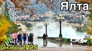 Ялта сегодня — море бушует! Набережная: подготовка к Новому году, шторм. Городской сад. Крым 2025