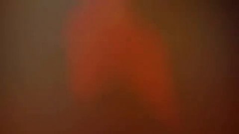 _The Fire_ - CREEPY SONG