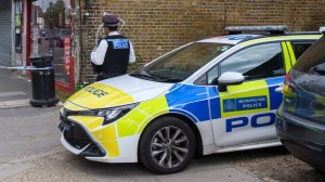 Подростки жестоко изнасиловали 15-летнюю девушку в парке