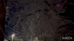 10.12.2025г. Деревья в Сибири зимой.