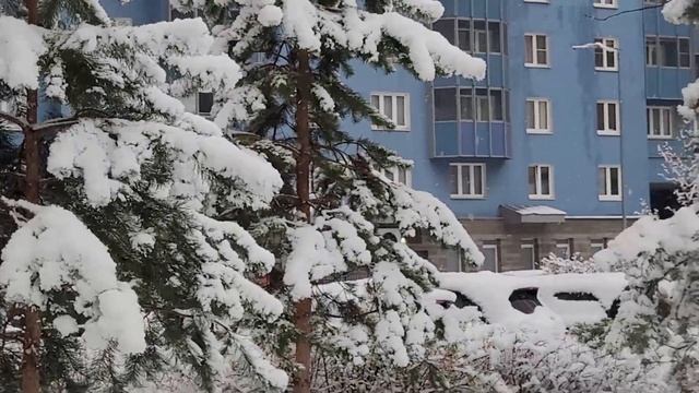 Тяжелый снег выпал в Санкт-Петербурге в конце ноября 2025