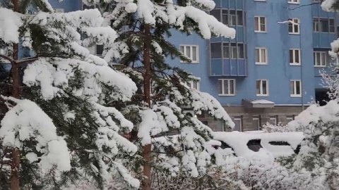 Тяжелый снег выпал в Санкт-Петербурге в конце ноября 2025