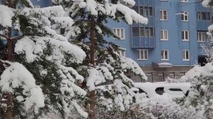 Тяжелый снег выпал в Санкт-Петербурге в конце ноября 2025