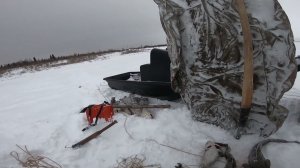 Рыбалка на перемёты. Отчёт с Енисея.