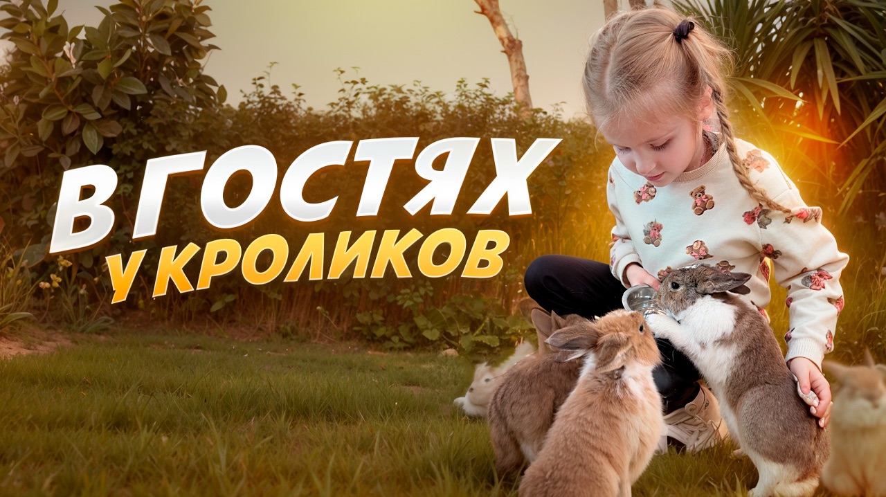 В гостях у кроликов