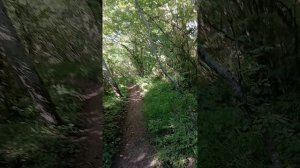 Прохожу отметку 3400 на тропе здоровья в Архипо-Осиповке на Чёрном море