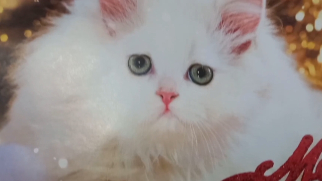 10-12-2025 ОБНОВКА👆ВЛОГ/УКРАШАЕМ ДОМ К НОВОМУ ГОДУ