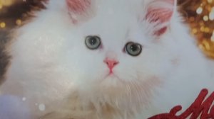 10-12-2025 ОБНОВКА👆ВЛОГ/УКРАШАЕМ ДОМ К НОВОМУ ГОДУ