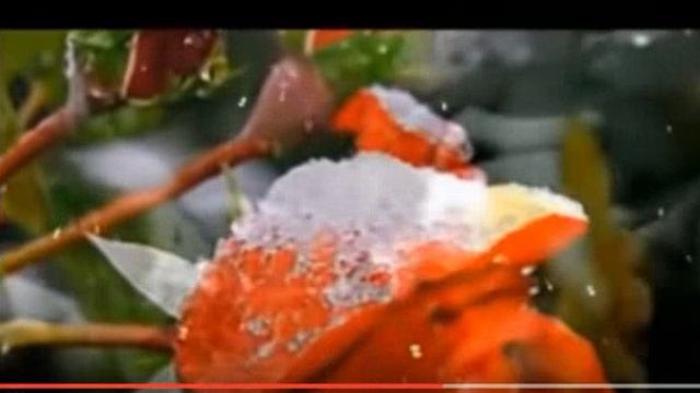 Галина Воленберг - Промчался год, муз. и исп. С. Фрумович