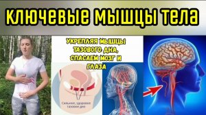 Связь мышц атланта, поясницы и живота = основа здоровья. Как восстановить её? Упражнения