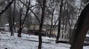 ПЕРВАЯ СОТНЯ НА КАНАЛЕ (Зовите домоседа, Лёха сорвался)