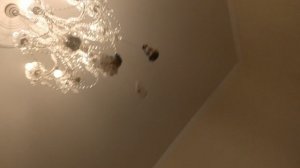 СНОВА АСМР НА ЛЮСТРУ. Всегда АСМР аааа