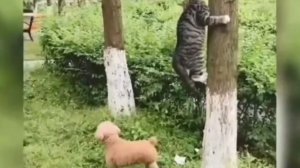 Как же они похожи на героев из мультиков!😂