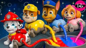 Щенячий патруль и Маршалл. Залипательное видео. Мультфильм для детей и малышей. Анимация