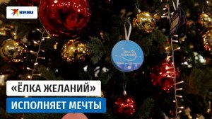 В Госдуме стартовала новогодняя благотворительная акция «Ёлка желаний»
