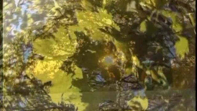 Знамение Пресвятой Богородицы в Великом Новгороде смотреть онлайн