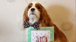 8. Покупки и подарки весны, лета и осени 2025 года