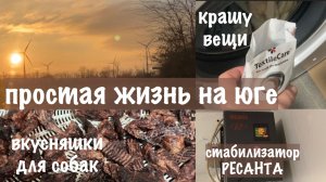 Жизнь в Адыгее/Утро с поломки/Обновила красителем/Стабилизатор РЕСАНТА в работе/ Вкусняшки для собак