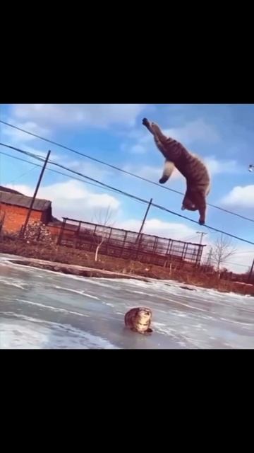 Неплохой трюк