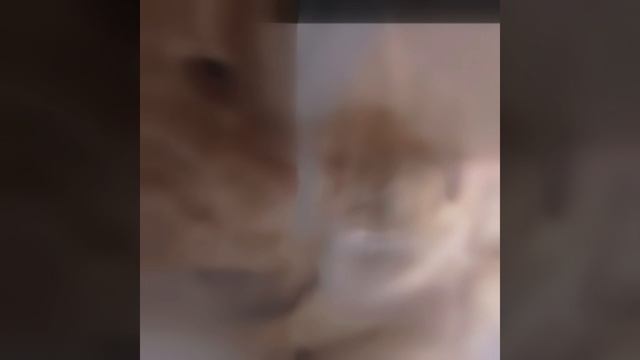 эдит на 10 подписчиков (сори что опоздал)