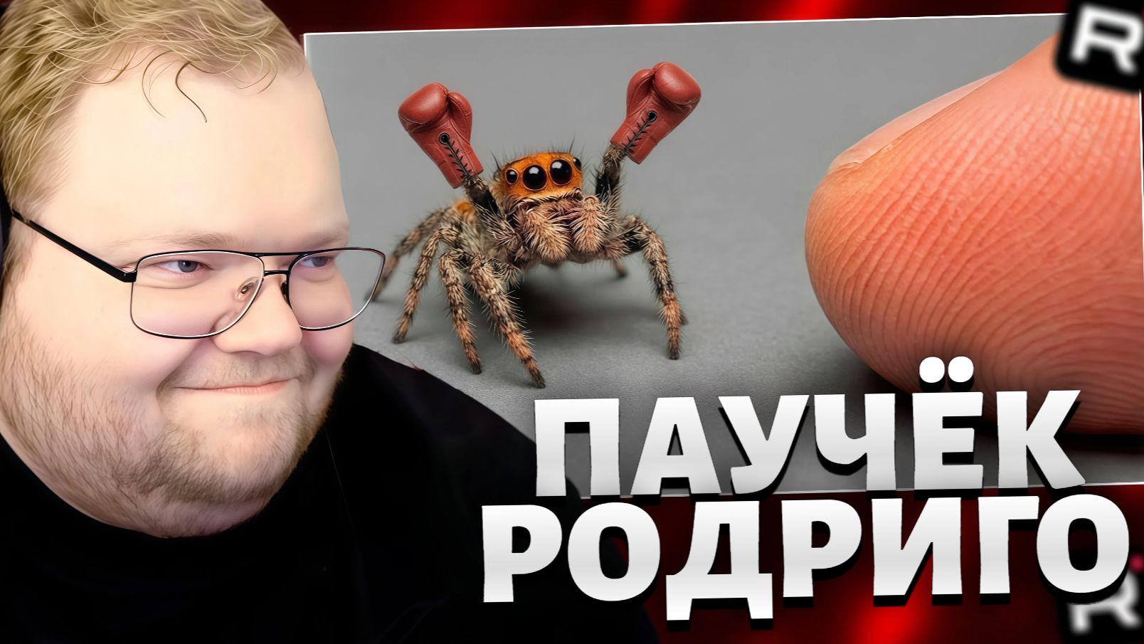 T2x2 СМОТРИТ: Я ПОДРУЖИЛСЯ С САМЫМ УМНЫМ ПАУКОМ В МИРЕ / РЕАКЦИЯ Т2х2