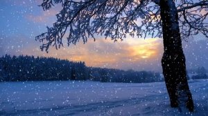 Среда. Что сулят звезды каждому знаку зодиака.