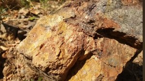 ЗОЛОТО ИЗ РАЗГРАБЛЕНОЙ УКРАИНЫ.