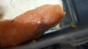 СОЧИ ГОРНОЕ ЛОО ВЕЧЕР 10.12.2025