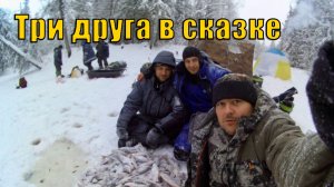 Бешеный клев в мороз. Зимняя рыбалка по первому льду. (часть 2). Зимняя рыбалка 2019.