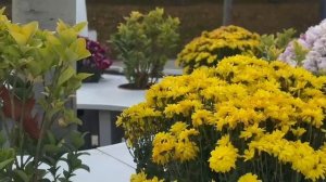 ТАТАРСКАЯ ПЕСНЯ  САГЫНУ       СКУЧАЮ