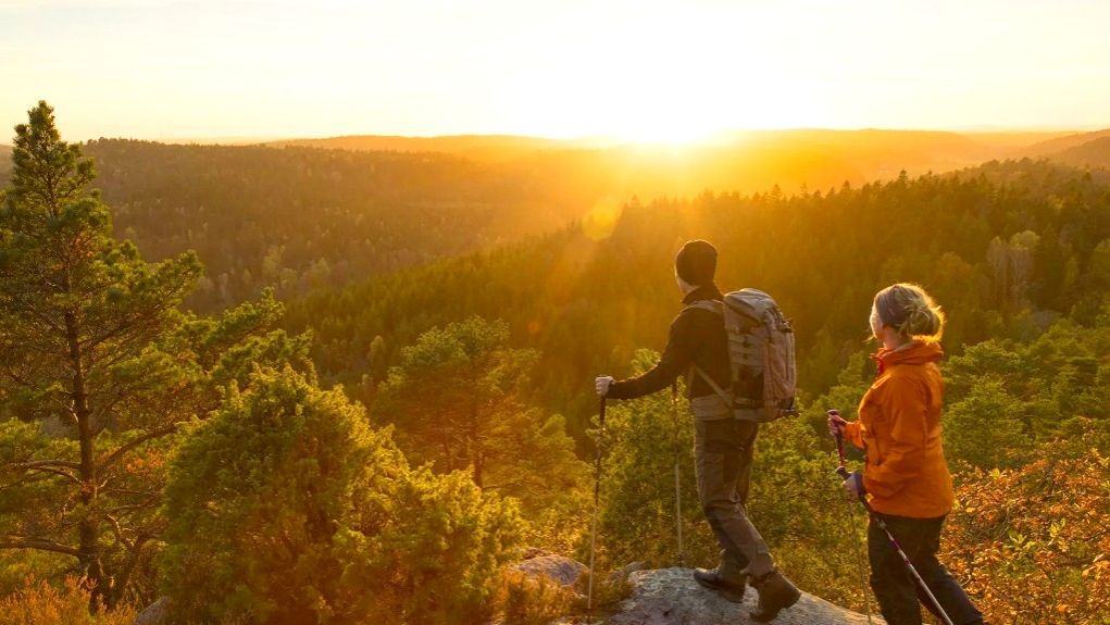 ЗАХВАТЫВАЮЩЕЕ ПРИКЛЮЧЕНИЕ. Совет, как вы можете изменить свой душевный настрой в лучшую сторону.