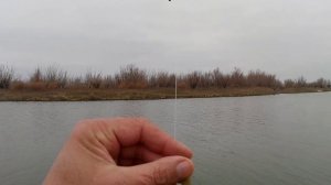 река Ахтуба декабрь 2025 года