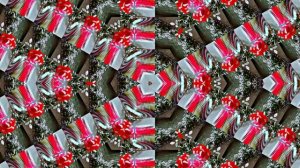 Розы в Зимнюю пору 8 от Киностудии Мудрого Кота Тимофея!