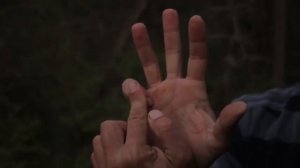 Научиться как Брюс Ли отжиматься на двух пальцах