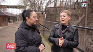 Рубрика «Айванат алеми». Выпуск от 10.12.2025