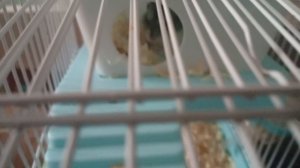 на улице выпал снег