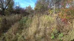 Десятки брошенных домов. Ночуем здесь. Старинная заброшенная деревня КОЛЕТИНО, Рязанская область.