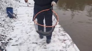 На железо.СЗ