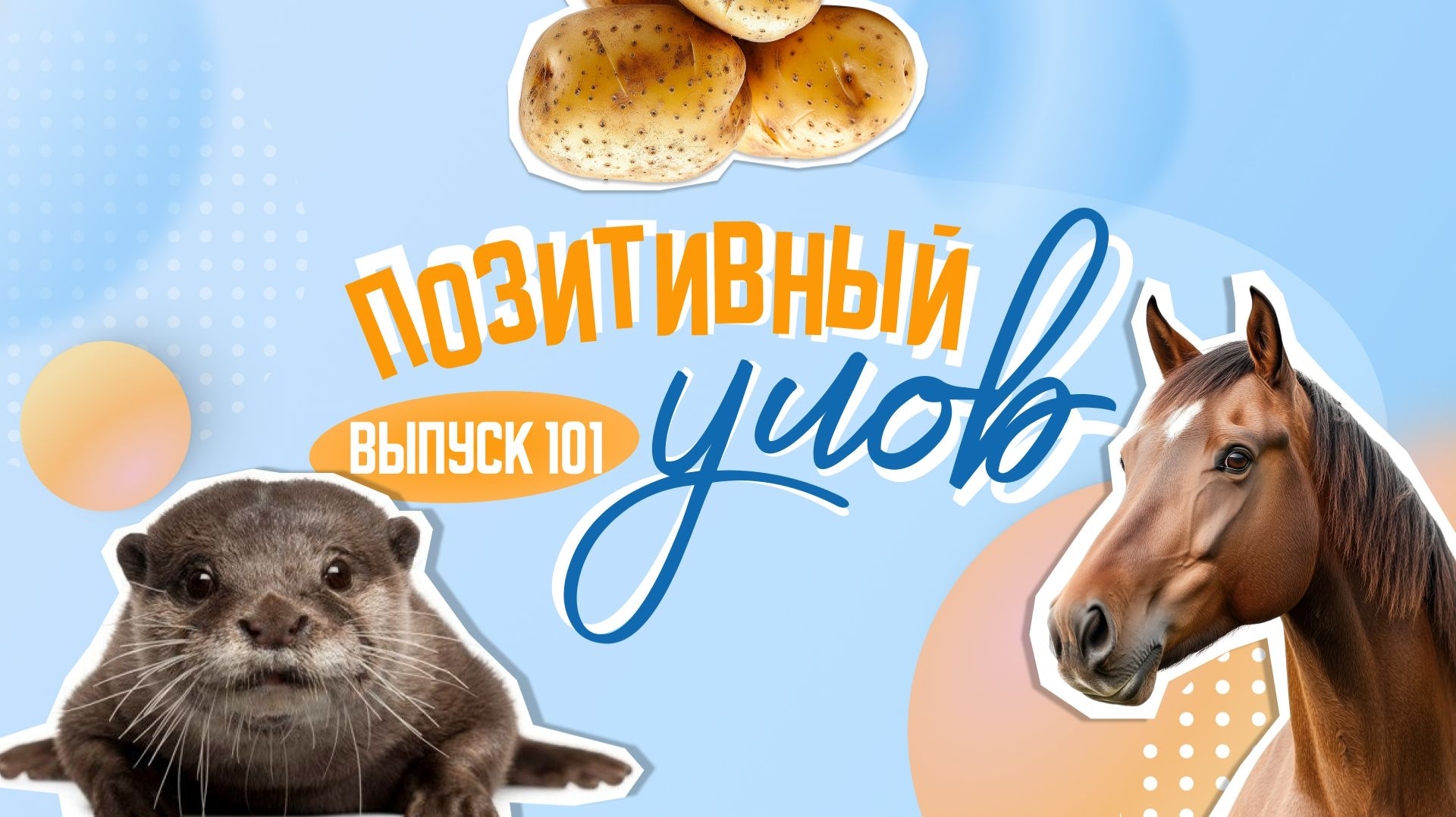 Колбасный адвент-календарь и янтарный кокошник. "Позитивный улов"